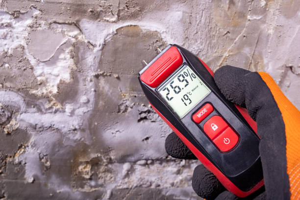 Best Mold Removal Near Me  in Covelo, CA