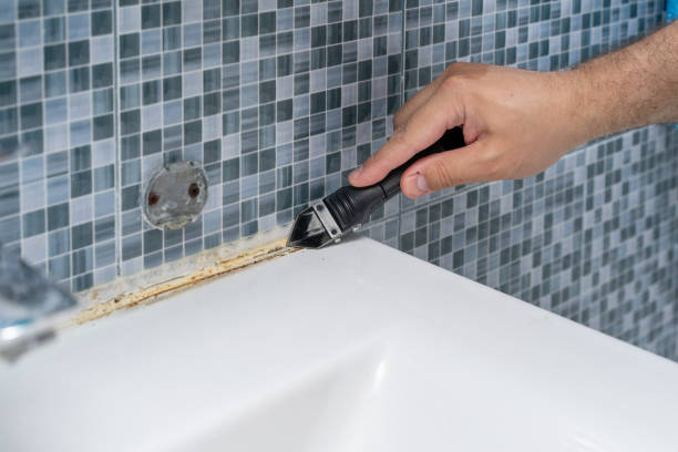 Mold Removal and Inspection in Covelo, CA