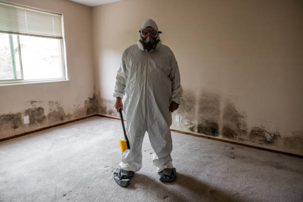 Best Certified Mold Removal  in Covelo, CA